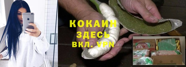 хмурый Арсеньев