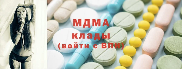 хмурый Арсеньев