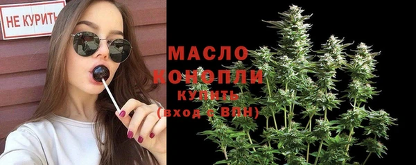 хмурый Арсеньев