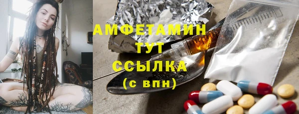 хмурый Арсеньев